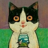 猫九在1984