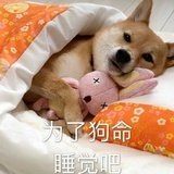 水熊虫你造吗