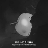 洋流