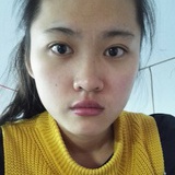 面包树上的道长