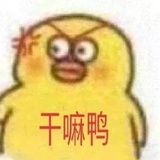 h33-_H