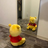 一条小锦李🥇