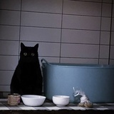 劈柴达人