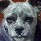 湮