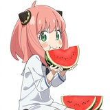 乌龟与刺猬