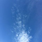 理不理