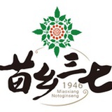 苗乡三七
