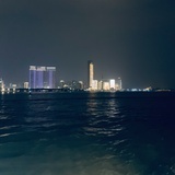 桃成蹊