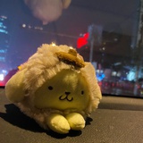 若比非白
