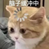 咸鱼子