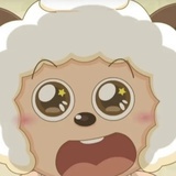 呆宝
