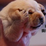 想去看看