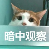 蹦呀蹦呀蹦擦擦