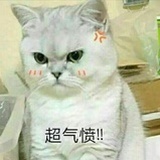 爽乖乖