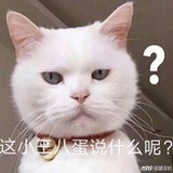 糊哈哈哈