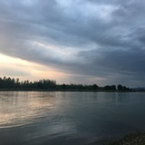 小喵和大汪