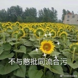 道阻且长