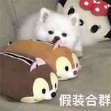 牛肉塔塔