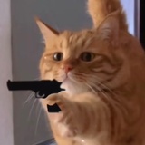 折凳板界