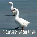 -小洛神-