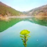 任性的孩子