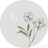 夏夏夏夏夏天