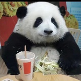 尚缺