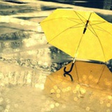 小黄伞