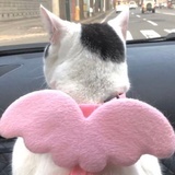 金矿