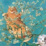 Pollux