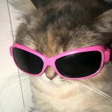 cc2ow
