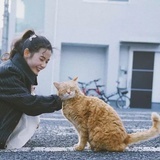 红白月