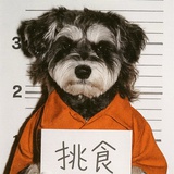 N号选手