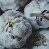 薄荷绿Zz