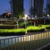 坦