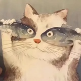 月如眉🌙