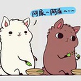 大花