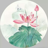 飘零的花