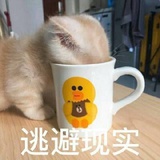 我是一条小咸鱼