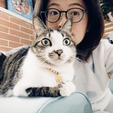 自娱自乐胡大慢