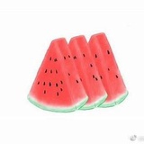 碎碎念