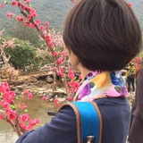 飞比