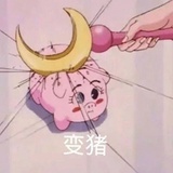 鱼与粥与鱼粥