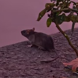 上帝是个好编剧