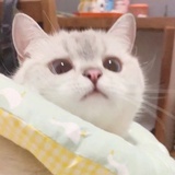 彩色苏打