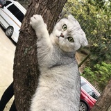 三皇子