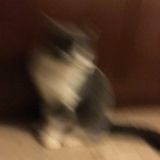 张泽毅（热恋中