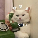 划水西瓜