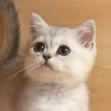 豆友141601380