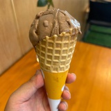 爱喝咖啡的小七
